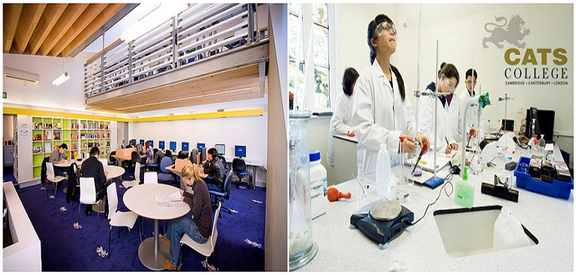 Học Phổ thông, sau phổ thông trường CATS College, Anh Quốc